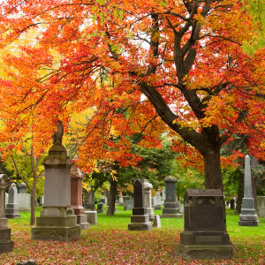 Autumn trees, memorials and tombstones in a cemetery