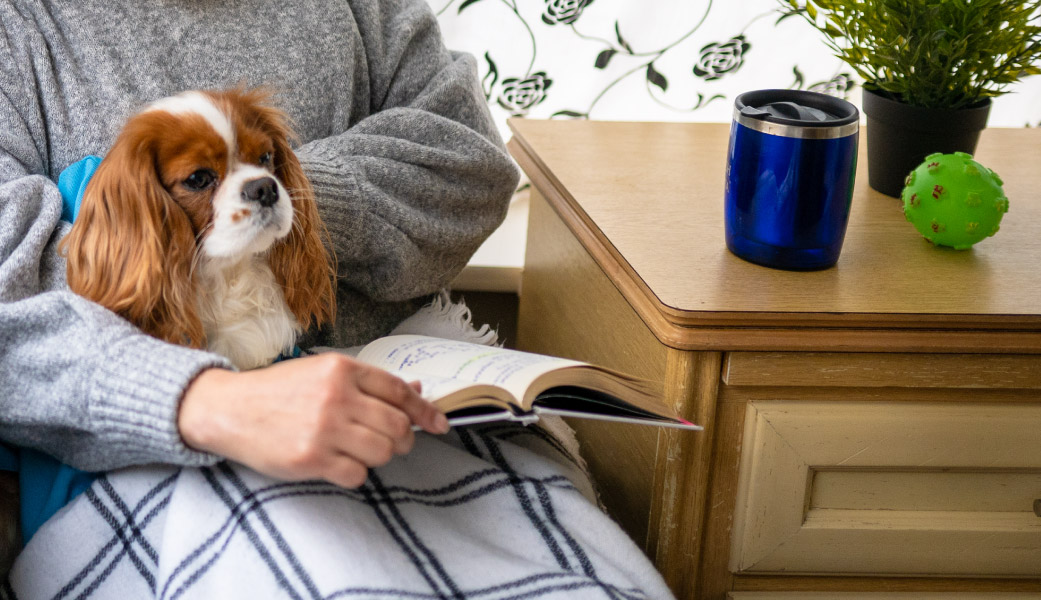 Person holding King Charles Spaniel dog on their lap reading a book next to a side table with drawers, a blue mug with a lid, and a green dog ball