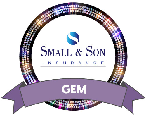 Small & Son Insurance logo surrounded by a black outer circle filled with gem sparkles, and a purple Gem Sponsor ribbon at the bottom